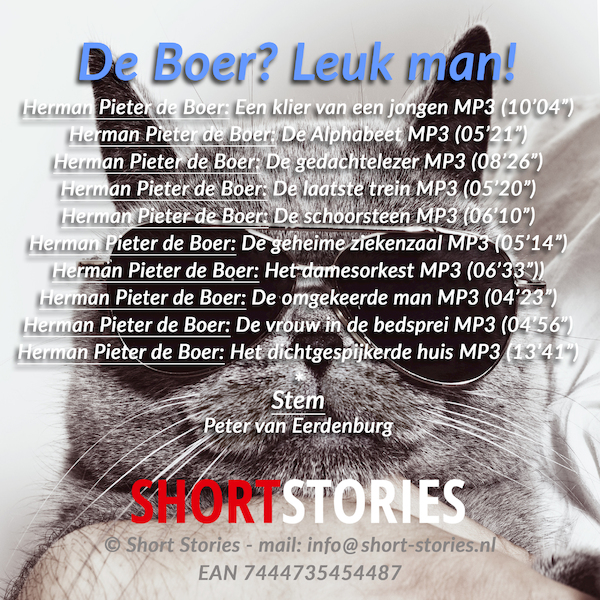 De Boer? Leuk man! - Herman Pieter de Boer (ISBN 7444735454487)