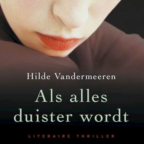 Als alles duister wordt - Hilde Vandermeeren (ISBN 9789021416281)