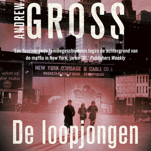 De loopjongen - Andrew Gross (ISBN 9789026149764)