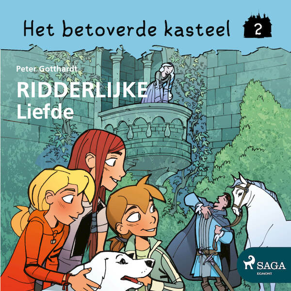 Het betoverde kasteel 2 - Ridderlijke Liefde - Peter Gotthardt (ISBN 9788726277517)