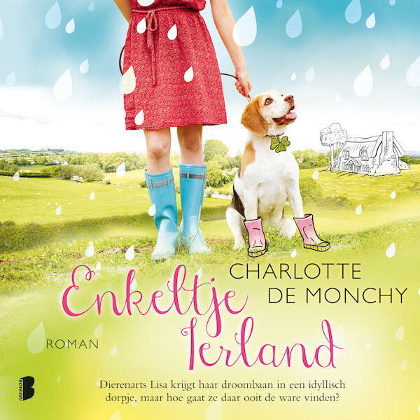 Enkeltje Ierland - Charlotte de Monchy (ISBN 9789052862347)
