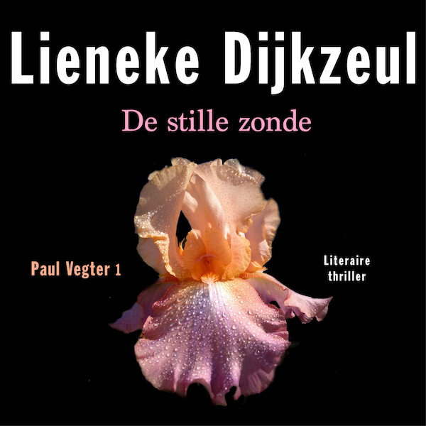 De stille zonde - Lieneke Dijkzeul (ISBN 9789026352980)