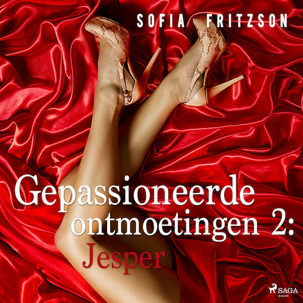 Gepassioneerde ontmoetingen 2: Jesper - erotisch verhaal - Sofia Fritzson (ISBN 9788726130867)