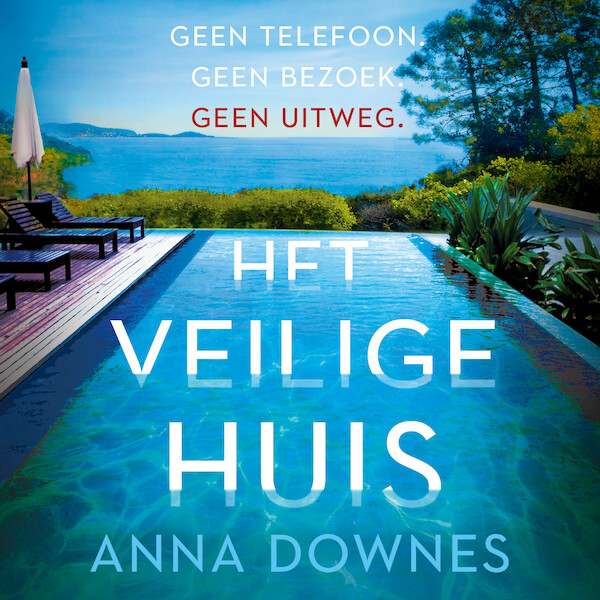 Het veilige huis - Anna Downes (ISBN 9789026152986)