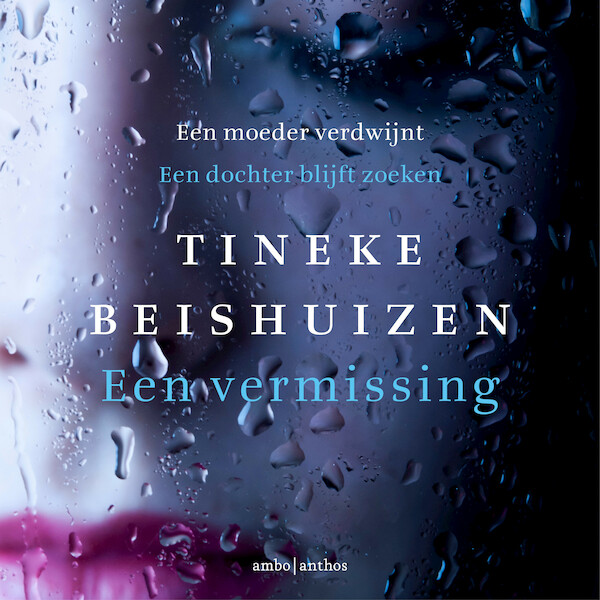 Een vermissing - Tineke Beishuizen (ISBN 9789026346262)