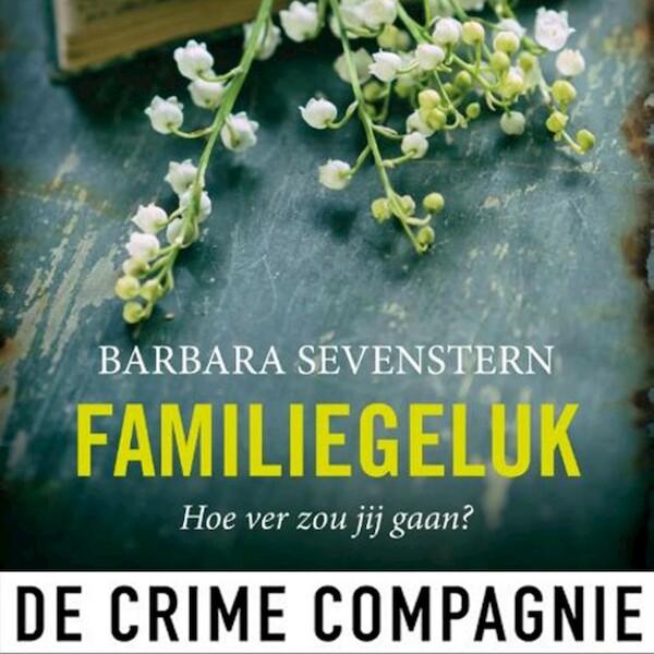 Familiegeluk - Barbara Sevenstern (ISBN 9789046174715)