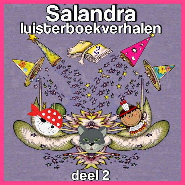 Salandra verhalen - Sandra Koole (ISBN 9789462175143)