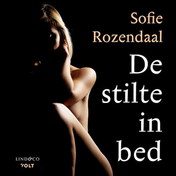 De stilte in bed - Sofie Rozendaal (ISBN 9789179956387)