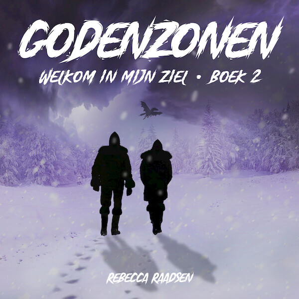 Welkom in mijn ziel - boek 2: Godenzonen - Rebecca Raadsen (ISBN 9789462176294)