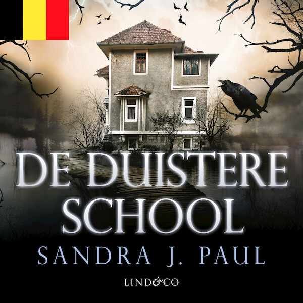 De duistere school - Sandra J. Paul (ISBN 9789179956769)