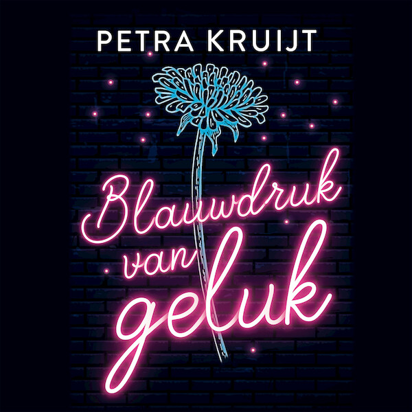 Blauwdruk van geluk - Petra Kruijt (ISBN 9789020539769)