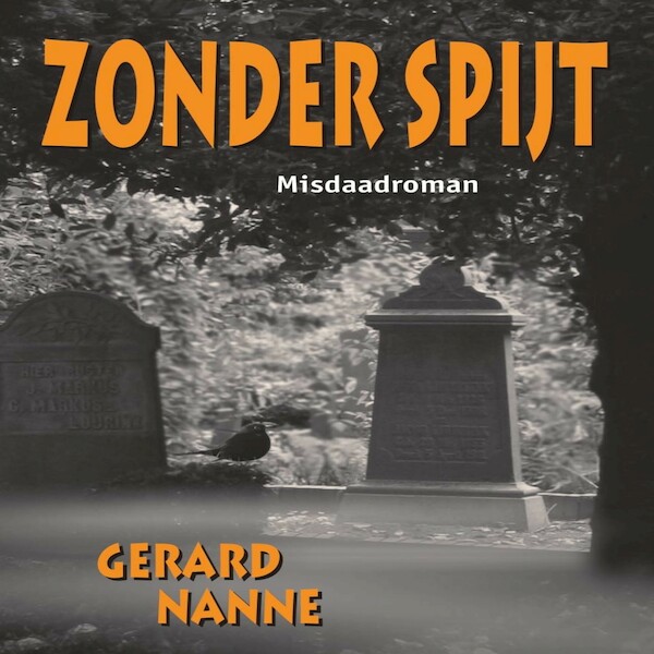 Zonder spijt - Gerard Nanne (ISBN 9789462176478)