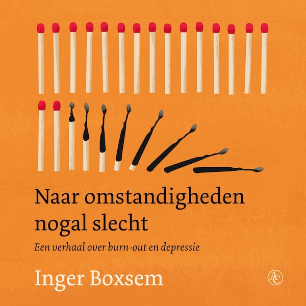 Naar omstandigheden nogal slecht - Inger Boxsem (ISBN 9789045044415)