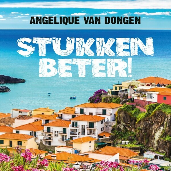 Stukken Beter! - Angelique van Dongen (ISBN 9789462176645)