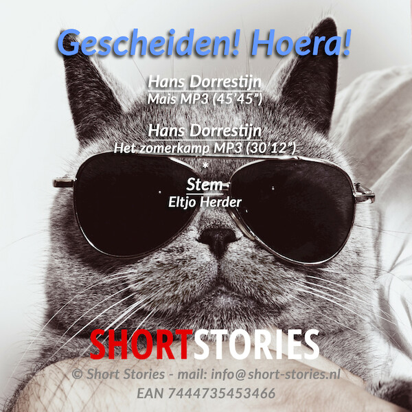 Gescheiden! Hoera! - Hans Dorrestijn (ISBN 9789462178229)