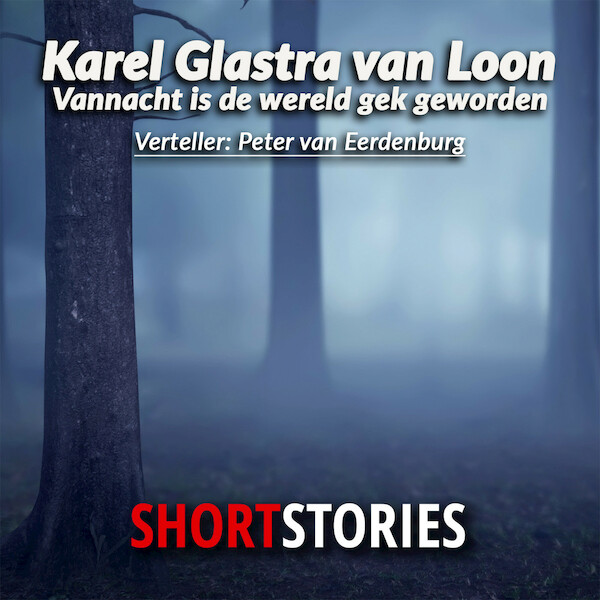 Vannacht is de wereld gek geworden - Karel Glastra van Loon (ISBN 9789462178830)