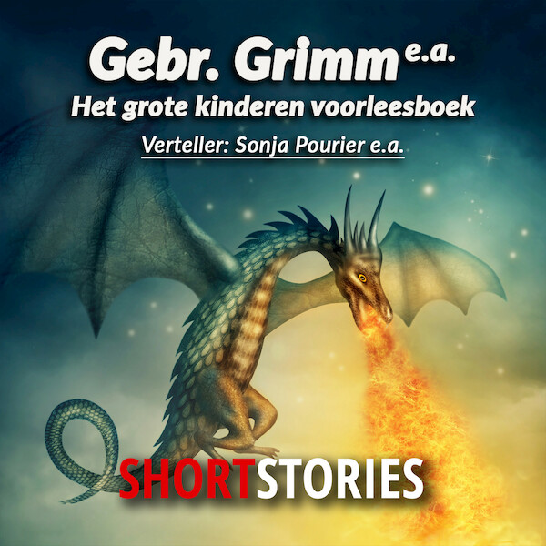 Het grote kinderen voorleesboek - Gebroeders Grimm, Anneke Bloemen, Nelly Kunst, Clare Lennart (ISBN 9789462178922)