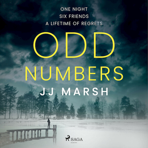 Odd Numbers - JJ Marsh (ISBN 9788726950083)