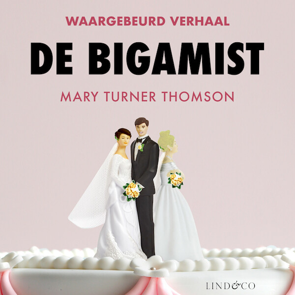 De bigamist - Mary Turner Thomson (ISBN 9789179957704)
