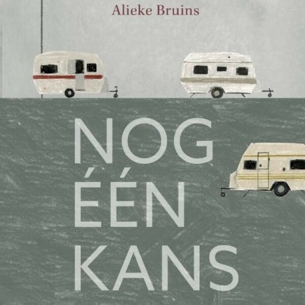 Nog één kans - Alieke Bruins (ISBN 9789464490053)