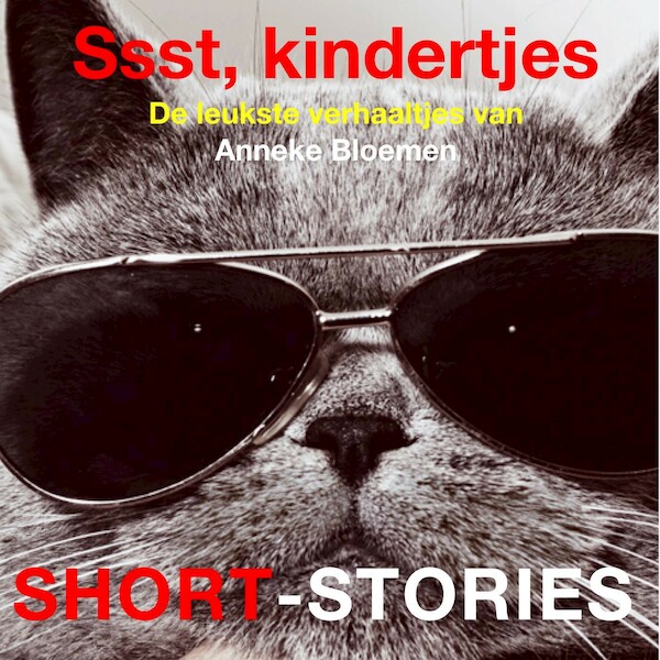 Ssst, kindertjes - Anneke Bloemen (ISBN 9789464490251)