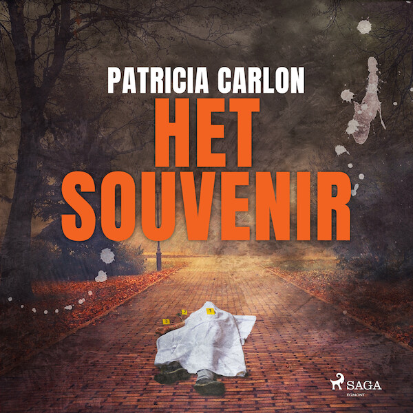 Het souvenir - Patricia Carlon (ISBN 9788726755473)