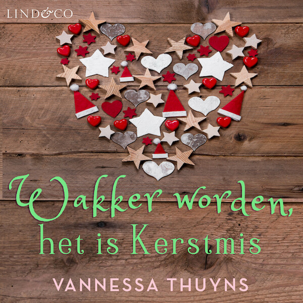 Wakker worden, het is kerstmis - Vannessa Thuyns (ISBN 9789180192439)