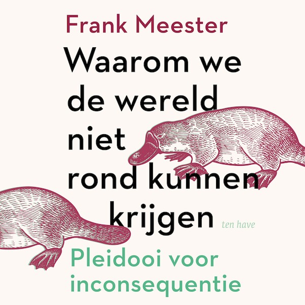 Waarom we de wereld niet rond kunnen krijgen - Frank Meester (ISBN 9789025909161)