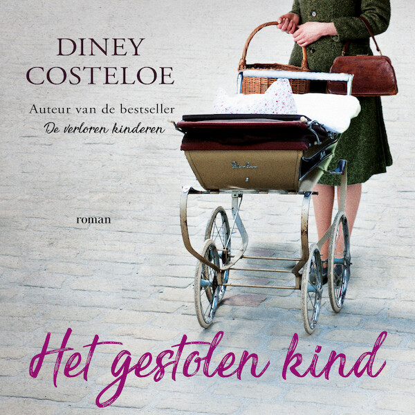 Het gestolen kind - Diney Costeloe (ISBN 9789026158469)