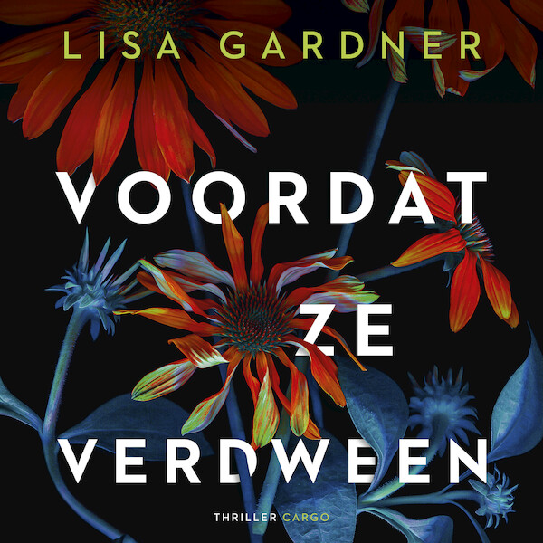 Voordat ze verdween - Lisa Gardner (ISBN 9789403178813)