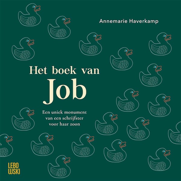 Het boek van Job - Annemarie Haverkamp (ISBN 9789048856138)