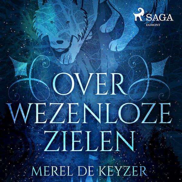 Over wezenloze zielen - Merel de Keyzer (ISBN 9788728249963)
