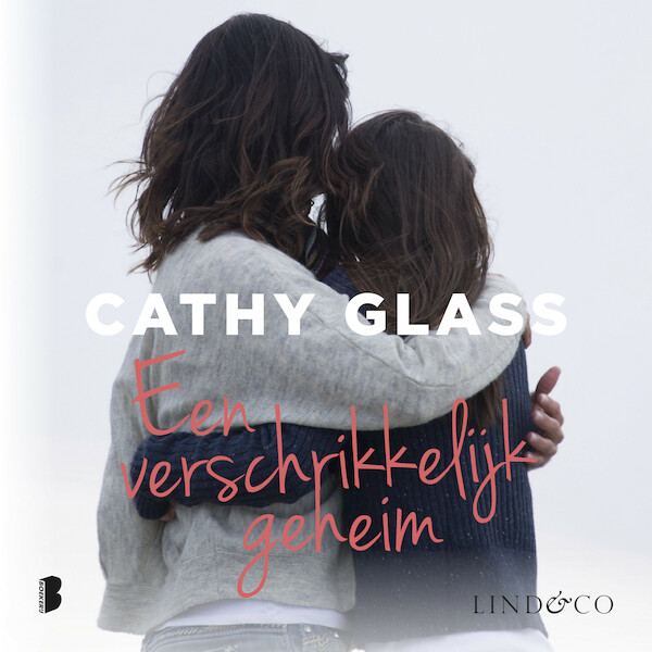 Een verschrikkelijk geheim - Cathy Glass (ISBN 9789179957025)