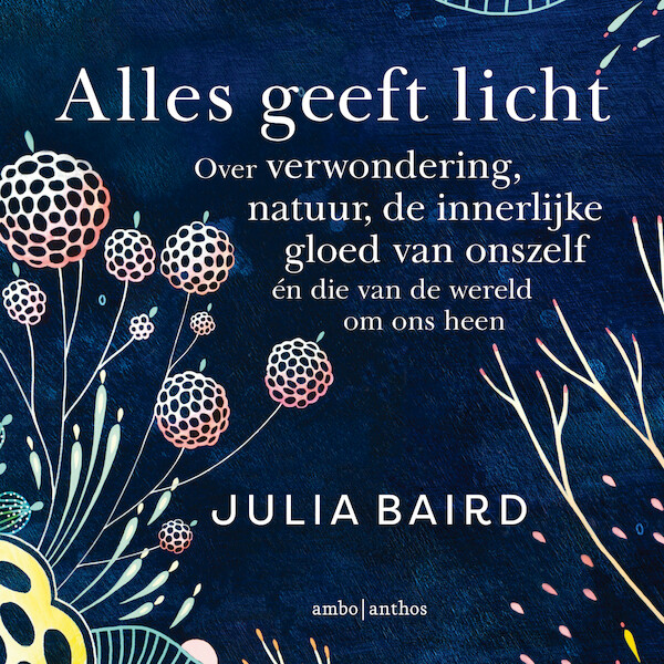Alles geeft licht - Julia Baird (ISBN 9789026359699)