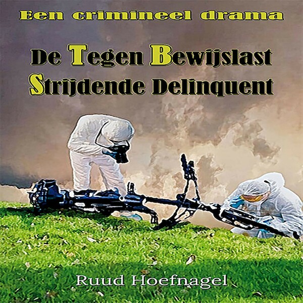 De tegen bewijslast strijdende delinquent - Ruud Hoefnagel (ISBN 9789462666146)