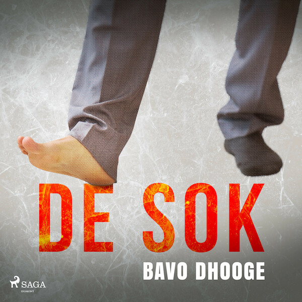 De sok - Bavo Dhooge (ISBN 9788726953992)