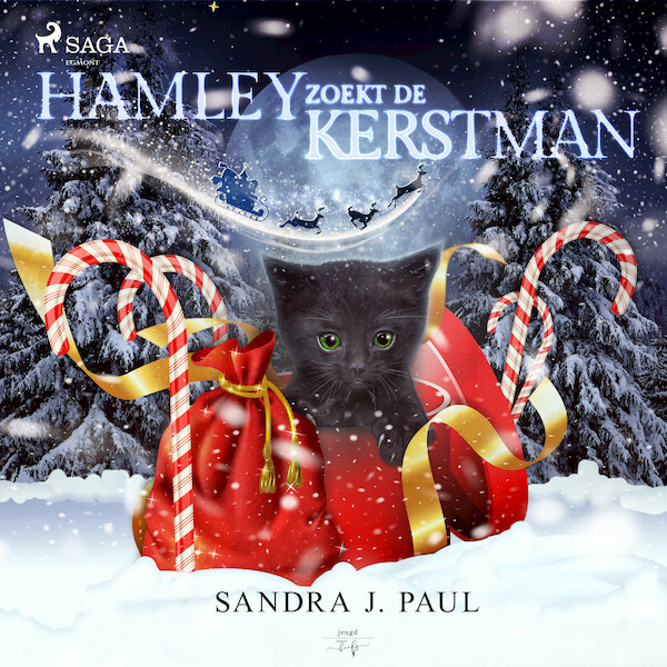 Hamley zoekt de kerstman - Sandra J. Paul (ISBN 9788728340776)