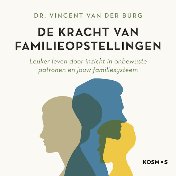 De kracht van familieopstellingen - Vincent van der Burg (ISBN 9789043925969)