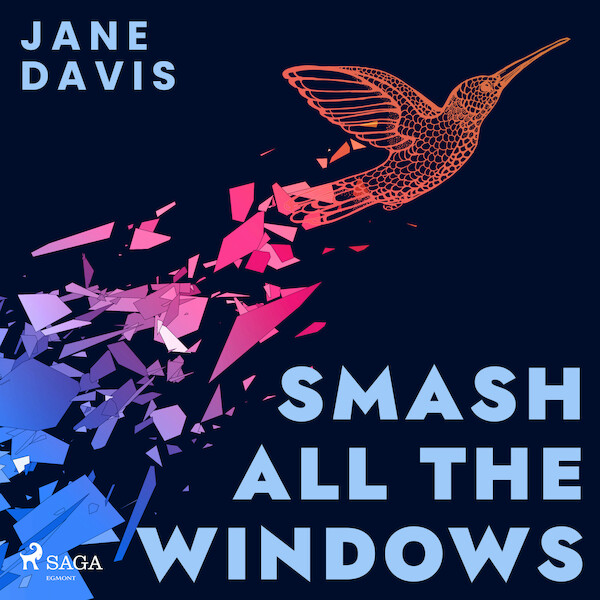 Smash All the Windows - Jane Davis (ISBN 9788728489758)