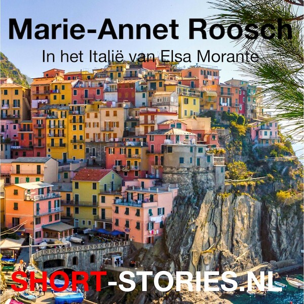 Marie-Annet Roosch - Elsa Morante (ISBN 9789464496673)