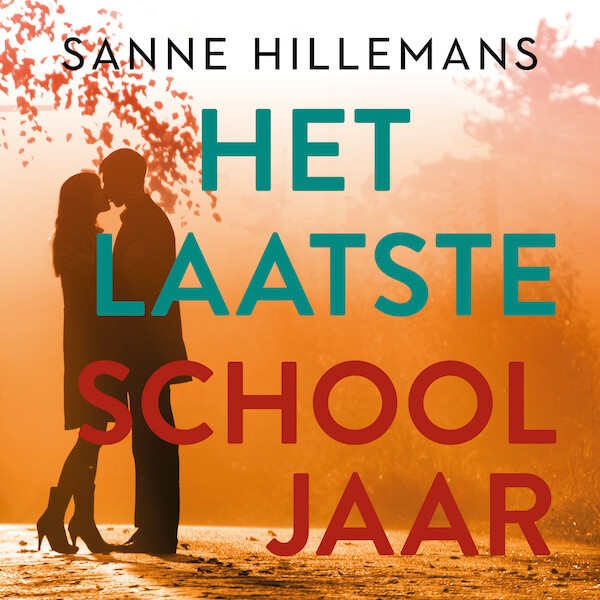Het laatste schooljaar - Sanne Hillemans (ISBN 9789047208549)