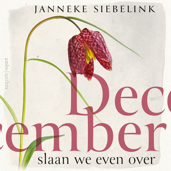 December slaan we even over - Janneke Siebelink (ISBN 9789026364822)