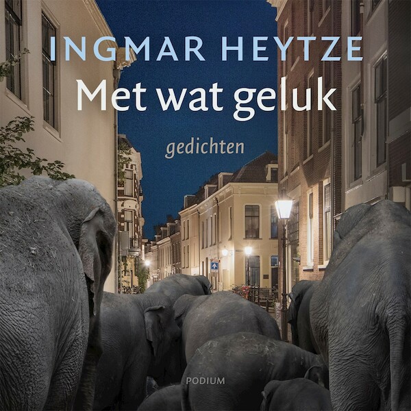 Met wat geluk - Ingmar Heytze (ISBN 9789463812214)