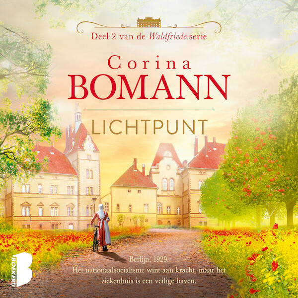 Lichtpunt - Corina Bomann (ISBN 9789052865782)