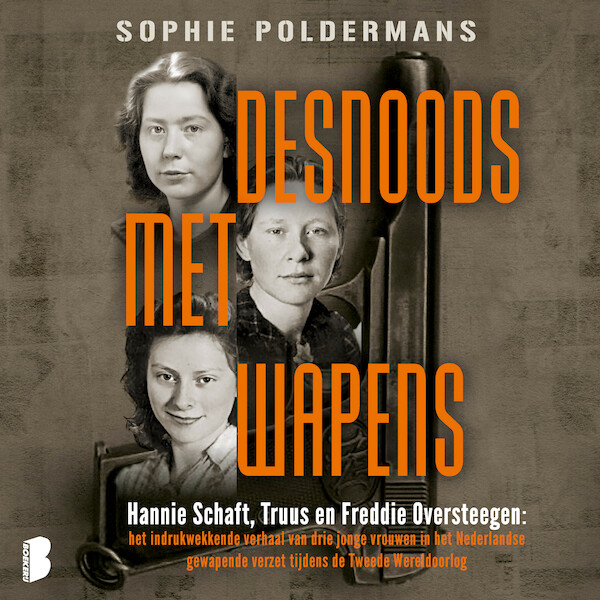 Desnoods met wapens - Sophie Poldermans (ISBN 9789052865751)