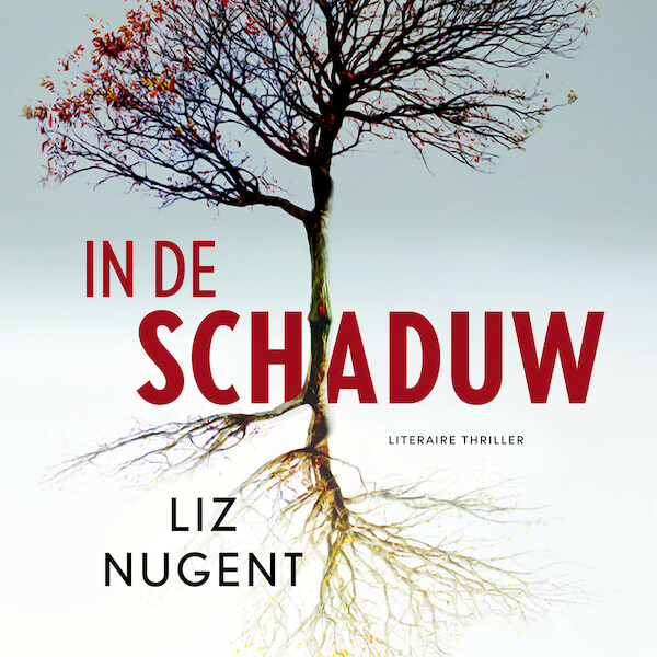 In de schaduw - Liz Nugent (ISBN 9789046177983)