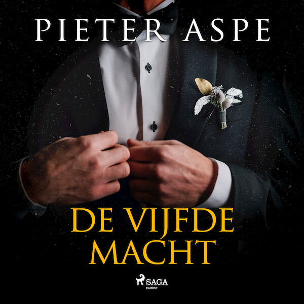 De vijfde macht - Pieter Aspe (ISBN 9788726664140)
