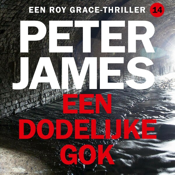 Een dodelijke gok - Peter James (ISBN 9789026167645)