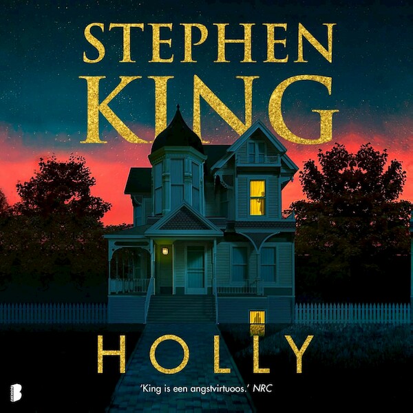Holly - Stephen King (ISBN 9789052865966)
