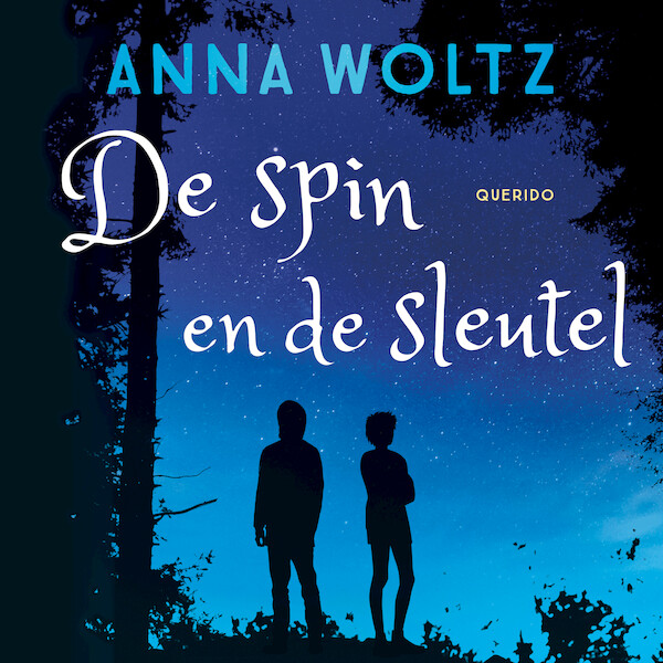 De spin en de sleutel - Anna Woltz (ISBN 9789045129891)